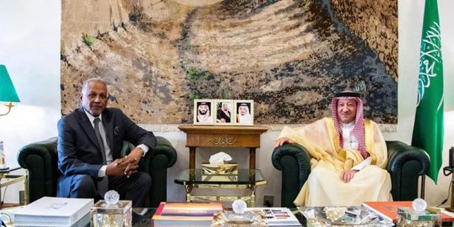 نائب وزير الخارجية وسفير السودان يناقشان تطورات الأوضاع