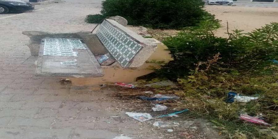 بن عروس: تخريب وسائل النقل والعبث بالملك العمومي: من يوقف الفوضى؟