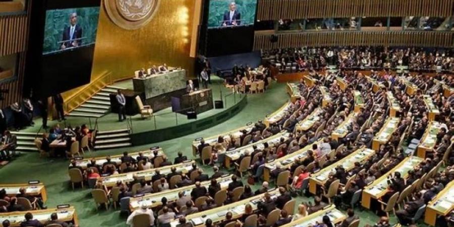 مقررو الأمم المتحدة لحقوق الإنسان يطالبون بتدخل دولي فوري لوقف الإبادة الجماعية في غزة