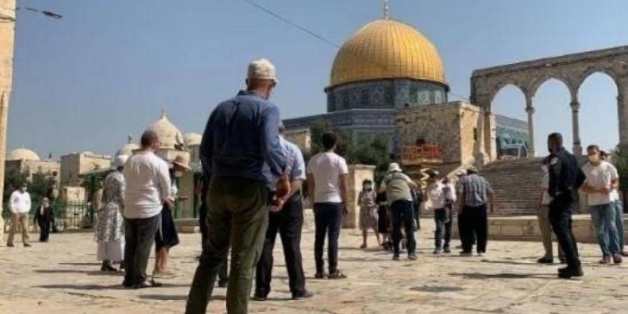 المستوطنون يواصلون استفزازاتهم داخل الأقصى
