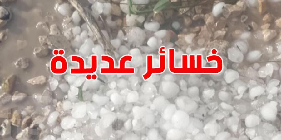 اتحاد الفلاحة: نفوق عدد من رؤوس الماشية بالكاف بسبب الأمطار والبرد.. ومطالب بالتعويض