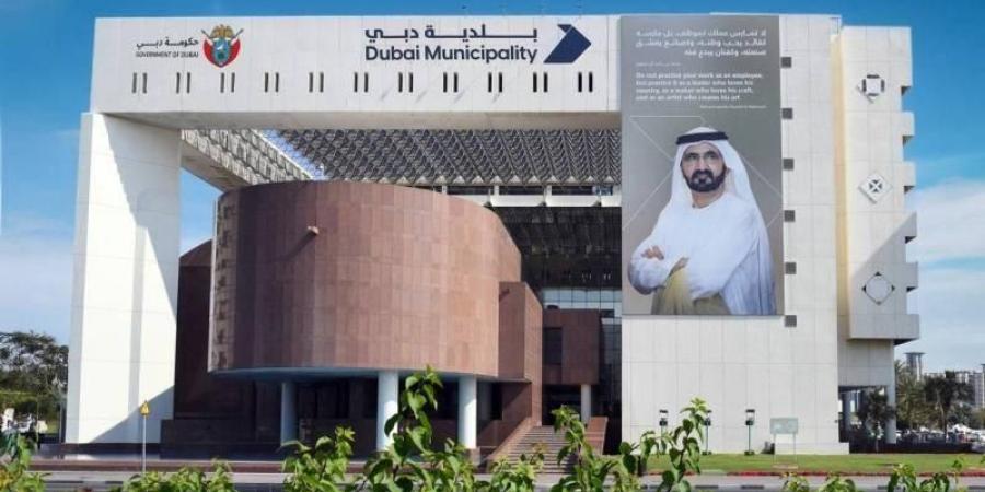 بلدية دبي تحصد 11 جائزة محلية وعالمية