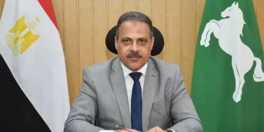 محافظ الشرقية يطمئن على نسب تنفيذ أعمال مشروعات الخطة الإستثمارية للعام المالي الحالي بديرب نجم