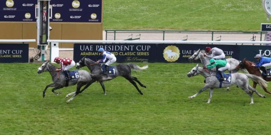 كأس رئيس الدولة للخيول العربية تستقطب النخبة في «الإمارات جينيز»