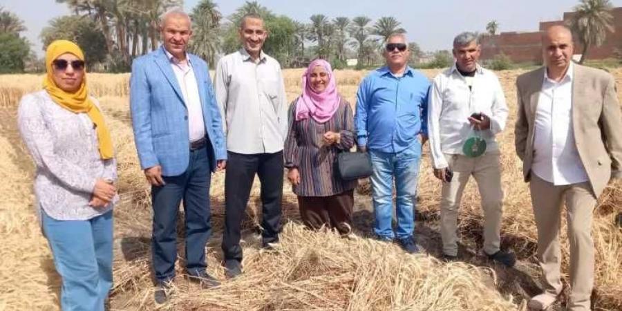 محافظ القليوبية يعلن عن توريد 41366 طن قمح