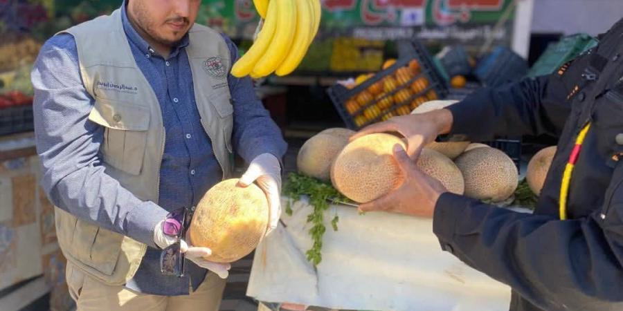البيضاء | مركز الرقابة يسحب عينات من البطيخ ويخضعها للفحص المخبري