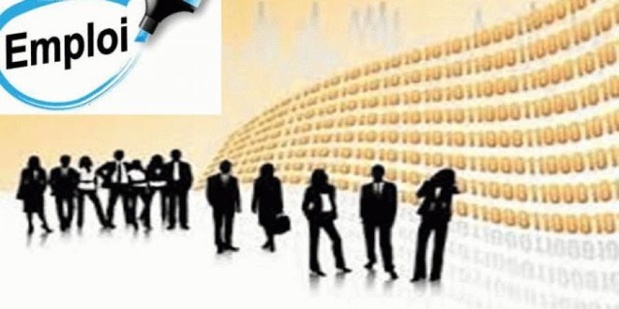 عاجل/ بشرى سارة: انتدابات جديدة في الوظيفة العمومية والقطاع العام..