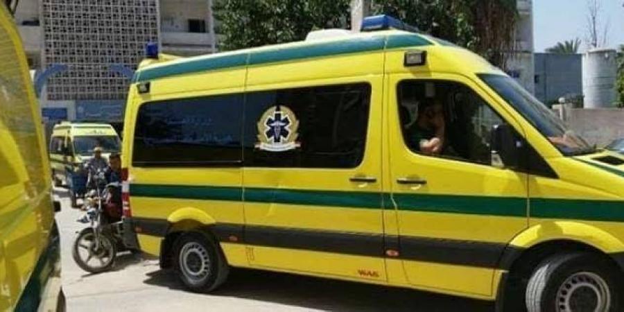 "هزارأسود"  يؤدي بحياة شاب في الإسماعيلية