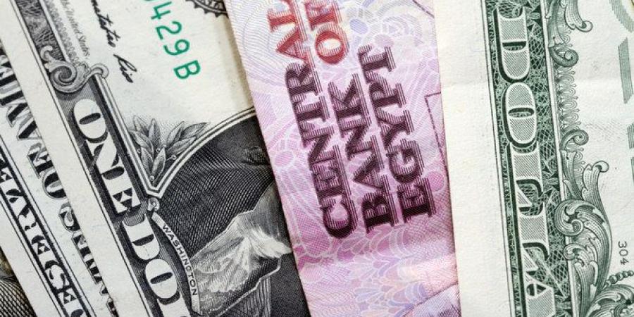 سعر الدولار في بداية تعاملات البنوك المصرية اليوم الإثنين 12 مايو 2025