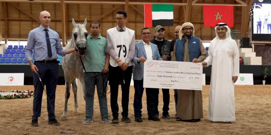 كأس الإمارات العالمي لجمال الخيل تواصل منافساتها في المغرب
