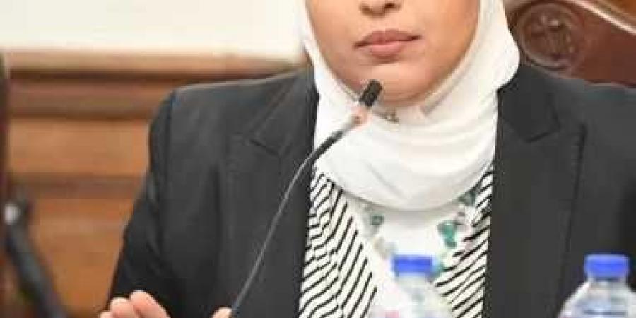 النائبة أميرة أبوشقة: مشروع الحكومة لقانون الإيجارات القديمة يحمل ثغرات قانونية واضحة