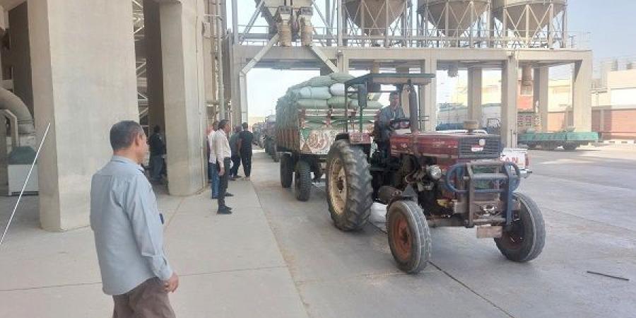 محافظ أسيوط: توريد 113 ألف طن قمح حتى الآن مع استمرار الاستلام