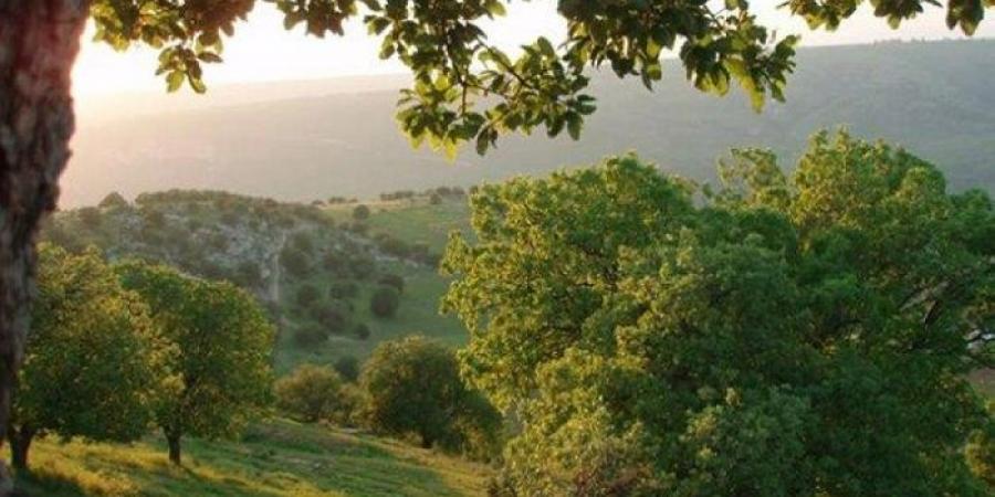 الارصاد: تراجع تأثير الكتلة الحارة وأجواء معتدلة تدريجياً خلال الأيام القادمة