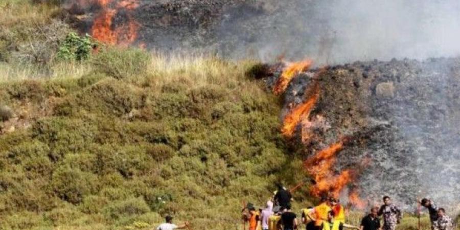 مستوطنون يشعلون النيران في أراضٍ زراعية جنوب نابلس