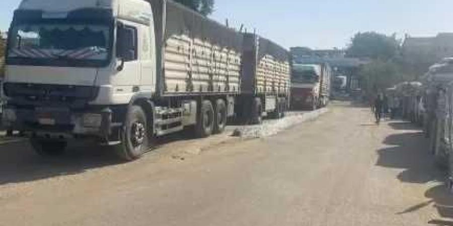 محافظ أسيوط: توريد 132 ألف طن قمح محلي لـ 28 موقعاً تخزينياً بالمراكز منذ بداية التوريد حتى اليوم