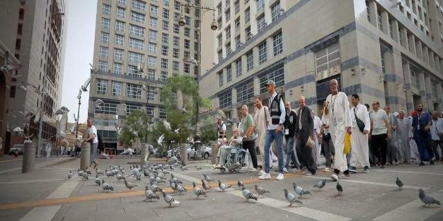 خدمات مميزة تقدمها بعثة وزارة الداخلية لحجاج القرعة.. وتنظيم زيارات للروضه الشريفه