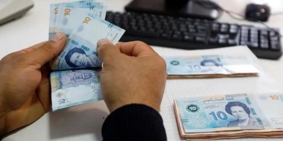 وزارة الفلاحة وبنك التضامن يصدران منشورا يقضي بتمويل موسم حصاد الاعلاف الخشنة