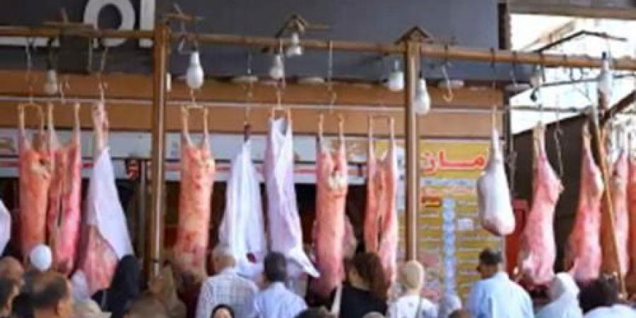 منافذ أمان تضخ لحوم بأسعار مخفضة في كافة محافظات الجمهورية (صور)