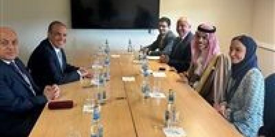 وزير الخارجية والهجرة يلتقي بنظيره السعودي على هامش فعاليات منتدى أوسلو