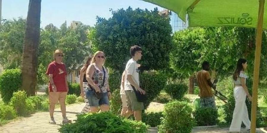 حملات لرفع الإشغالات وتنفيذ النظافة بالأحياء السكنية فى أسوان