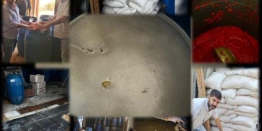 ضبط 3 أطنان ملح طعام ومخللات فاسدة ببنها خلال حملة لصحة القليوبية