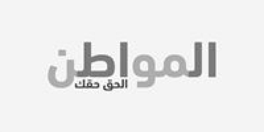 90 بلاغًا رسميًا إلى مكتب النائب العام ضد المدعوة سلمى الرحالة.