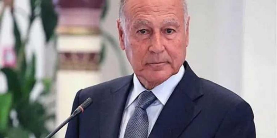 أبو الغيط: حصرية السلاح بيد الدولة سبيل لتحقيق الاستقرار في لبنان