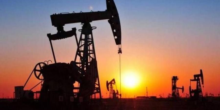 بلومبرج: مصر تتخلى عن شحنات نفطية بعد تأمين كميات كبيرة من الغاز المسال