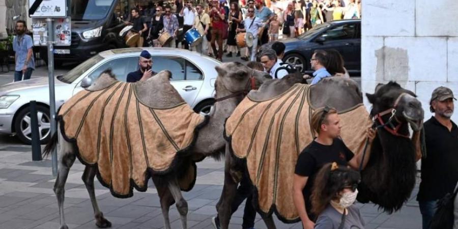 مسيرة للإبل للتحذير من الجفاف في المجر