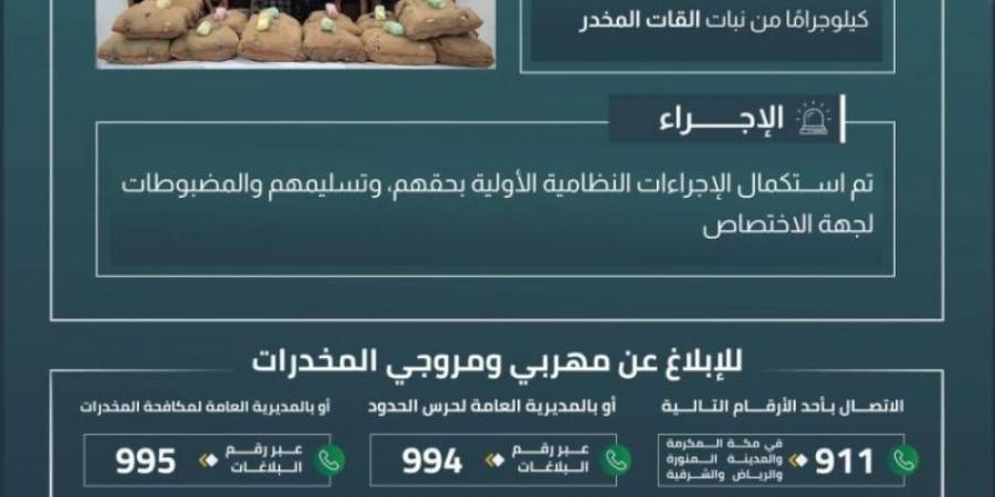 القبض على (13) مخالفًا لتهريبهم (320) كيلوجرامًا من القات المخدر
