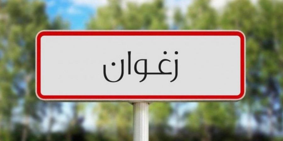 زغوان: انطلاق اشغال الندوة الإقليمية الخامسة حول " الإدماج الاقتصادي للمرأة وتحقيق التنمية في أفق 2030 "
