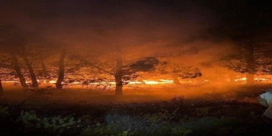 حرائق الغابات تدمر مناطق في شمال لوس أنجلوس ووسط كاليفورنيا وتتسبب في إخلاء آلاف السكان وتهديد مئات المنازل