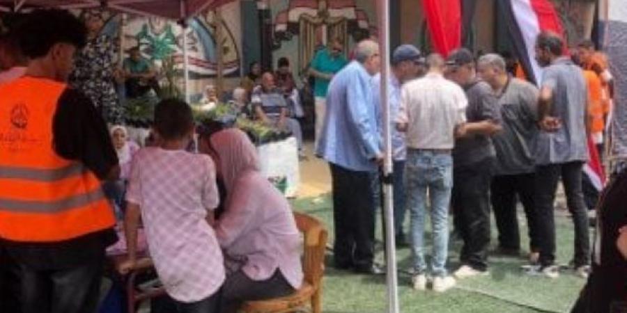 بعثة من الجامعة العربية تتابع انتخابات الشيوخ 2025 فى مصر الجديدة والنزهة