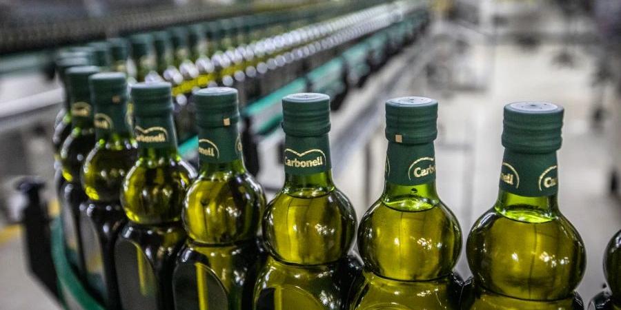تعافي أكبر منتج لزيت الزيتون عالميًا بعد أزمة غير مسبوقة في إسبانيا