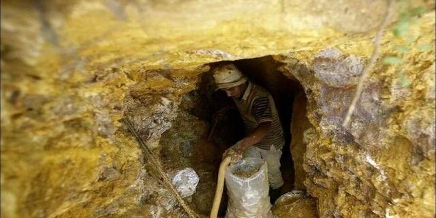 النيجر تعلن تأميم شركة "إس أم ال" المشغلة لمنجم الذهب الوحيد في البلاد