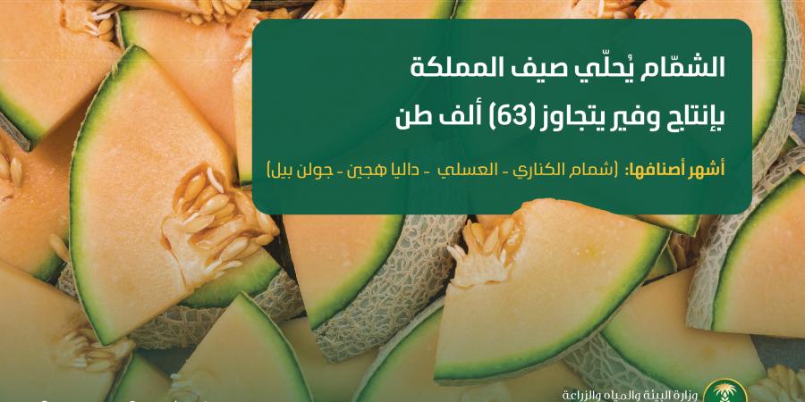 الشمّام يُحلّي صيف المملكة بإنتاج وفير يتجاوز (63) ألف طن سنويًا