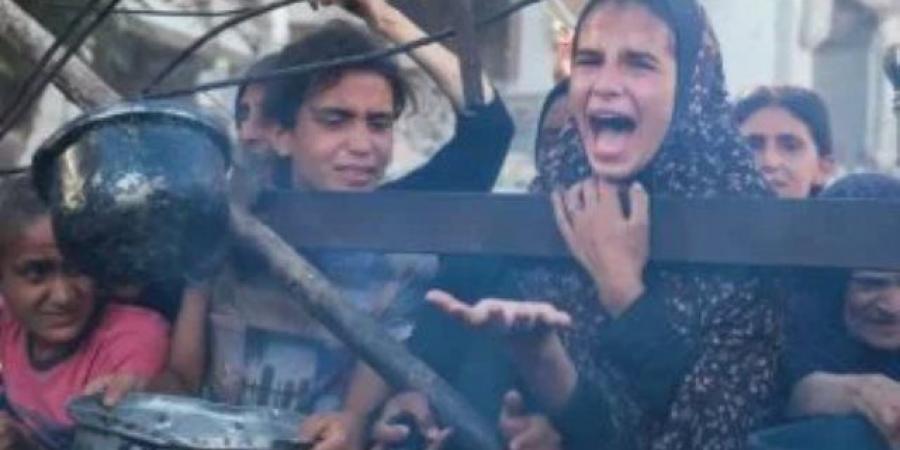 شهداء ومصابون من منتظري المساعدات شمال قطاع غزة وجنوبه