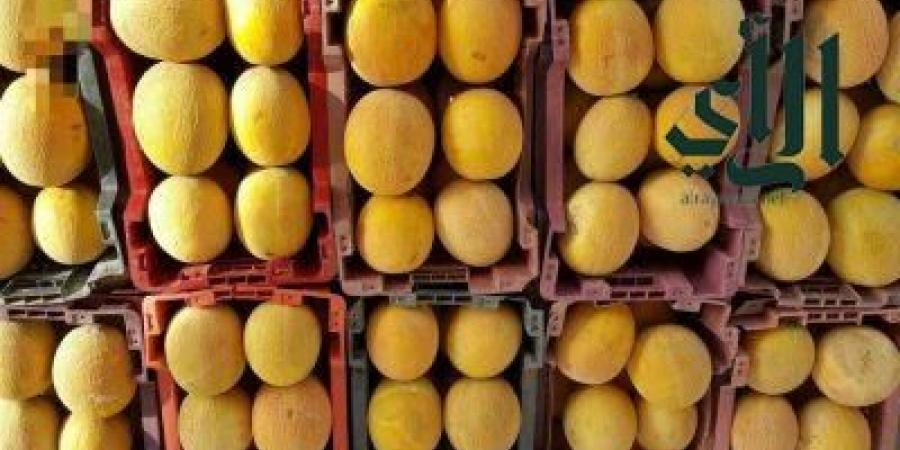 "جولف السعودية" وAon تتعاونان لدعم رياضة الجولف للسيدات خلال بطولة PIF في لندن