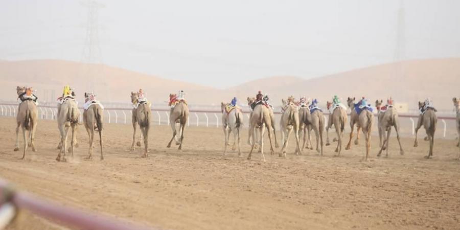 «الذيبة» تحقق أفضل زمن في أشواط الثنايا بمهرجان العين