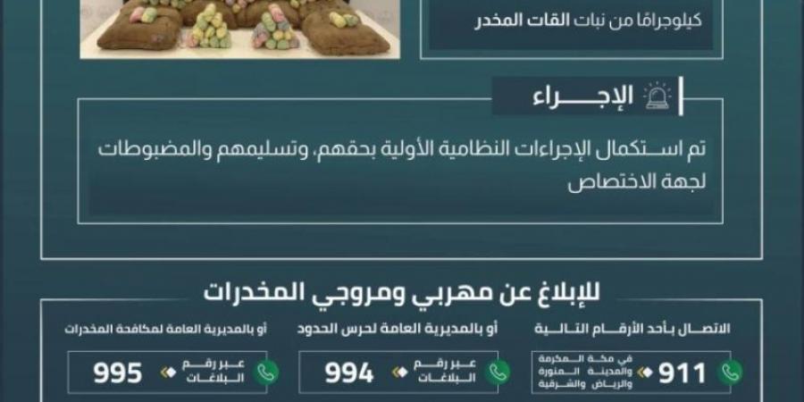 القبض على (6) مخالفين لتهريبهم (120) كيلوجرامًا من القات المخدر