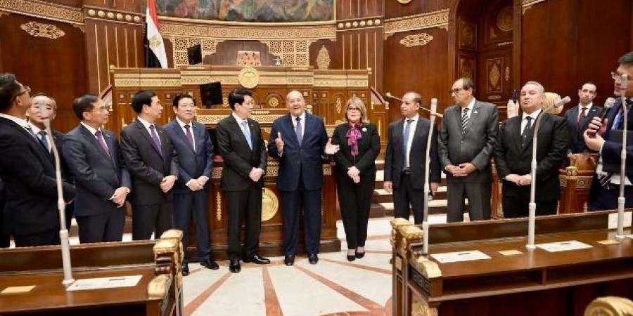 فيبي فوزى: العلاقات المصرية الفيتنامية ترتفع لـ"الشراكة الشاملة"