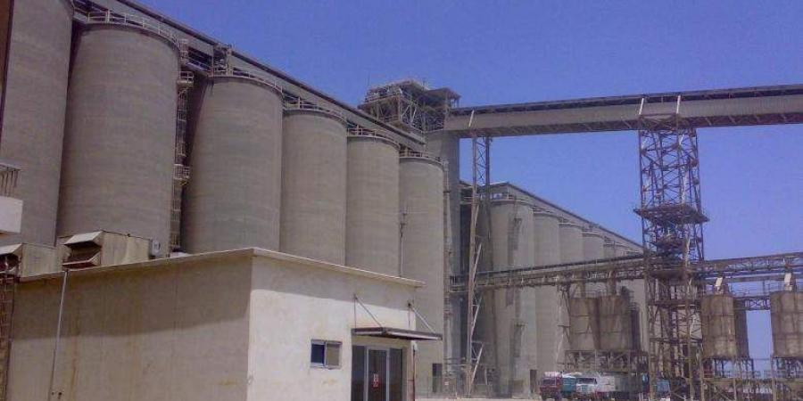 أرباح “مطاحن غرب الدلتا” السنوية ترتفع إلى 424.8 مليون حنيه