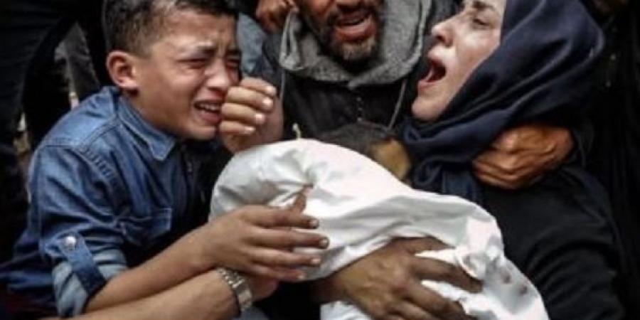 «قتلت 10% من سكان غزة».. تقرير عالمي عن تفوق إسرائيل على النازيين في قتل المدنيين والأطفال