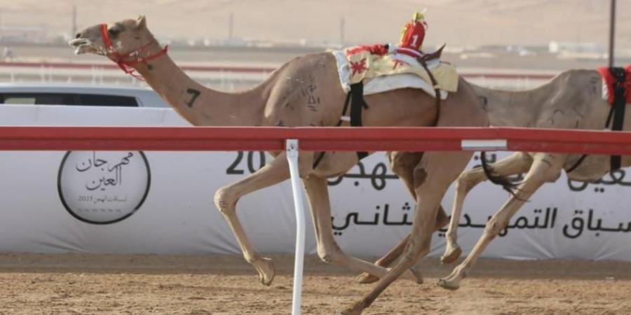 «الوارية» تتألق في ختام ثانية جولات مهرجان العين