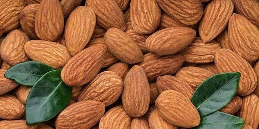 لأمعاء سعيدة وصحة أفضل.. اكتشف سر اللوز الذي لا يعرفه الكثيرون