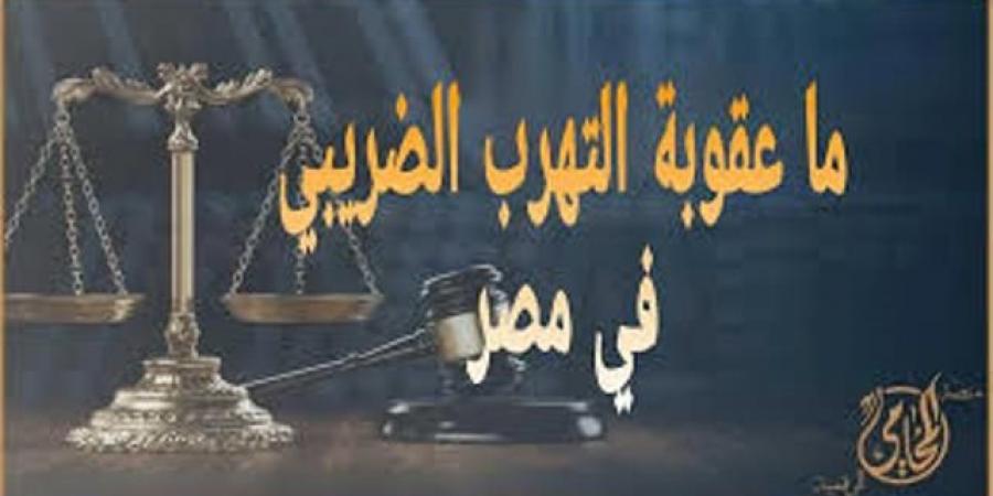 عقوبات التهرب الضريبي.. تعرف عليها