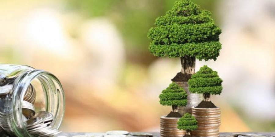 الحكومة المصرية ترفع استثماراتها الخضراء بنسبة 55% خلال 2025-2026