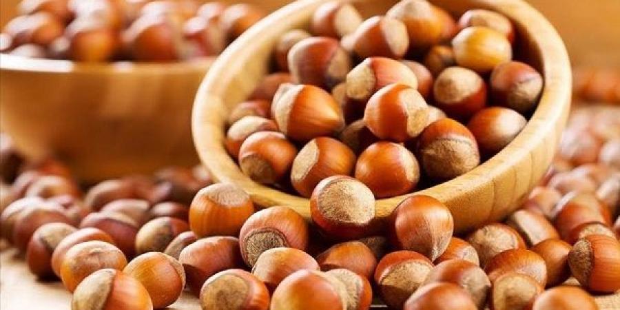 الصقيع يشعل أسعار البندق في تركيا أكبر منتج عالميًا