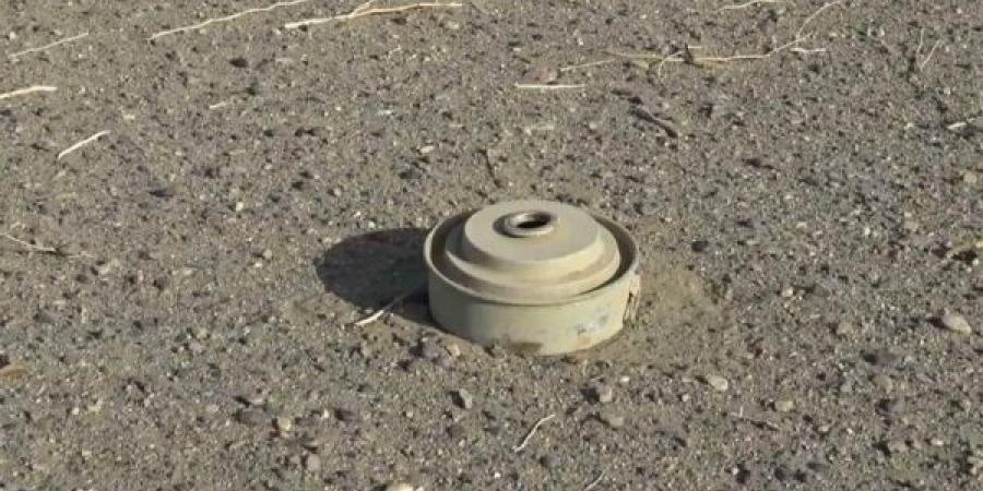 إصابة فتى قاصر مع والده جراء انفجار لغم حوثي في الحديدة