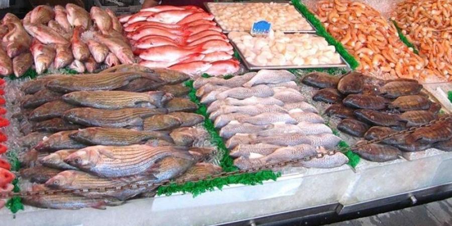 مطلب رخصة لبيع الأسماك تنظر الرد من بلدية المنستير منذ 2019